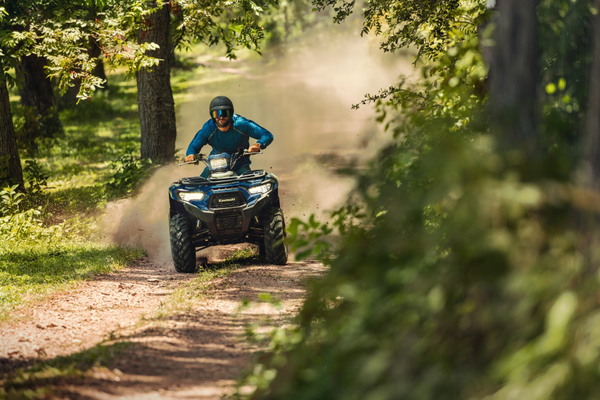 Brute Force 450 T-CAT | Kawasaki
