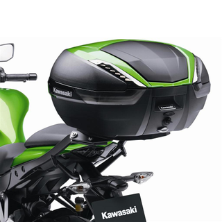 Ninja 300 top on sale case
