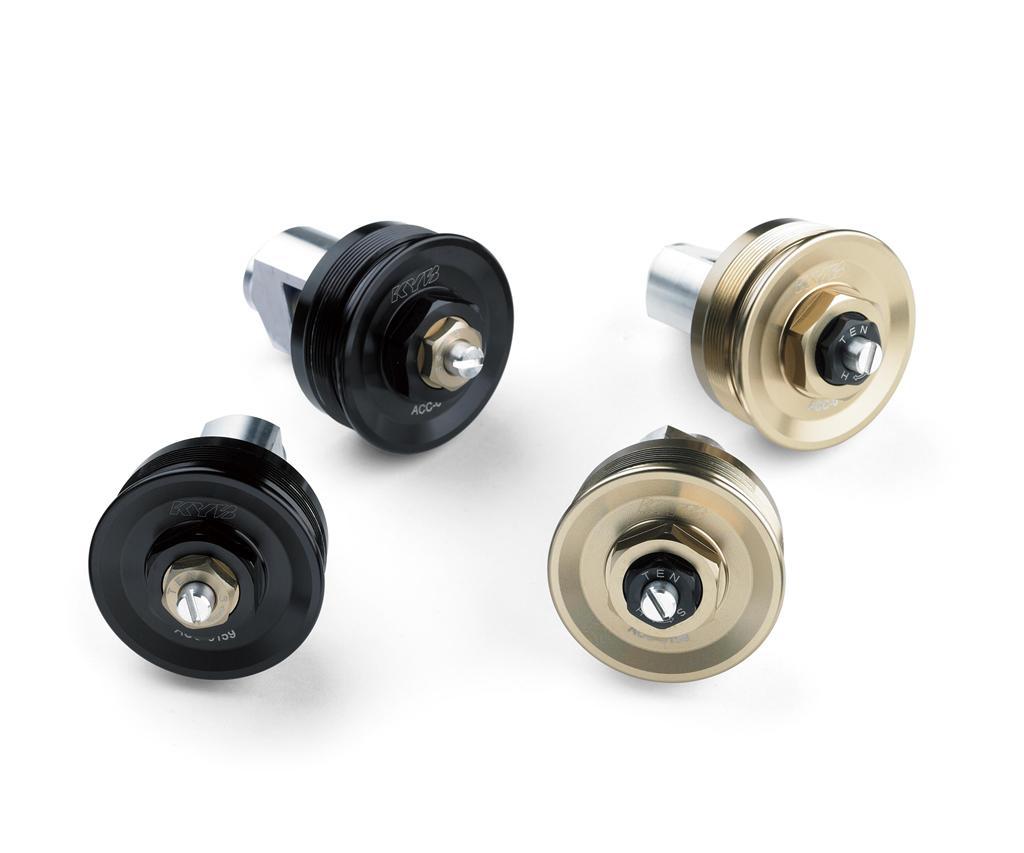 Fork Cap Set (Z900RS/SE)